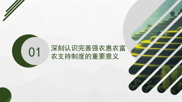 二十届三中全会关于完善强农惠农富农支持制度党课ppt