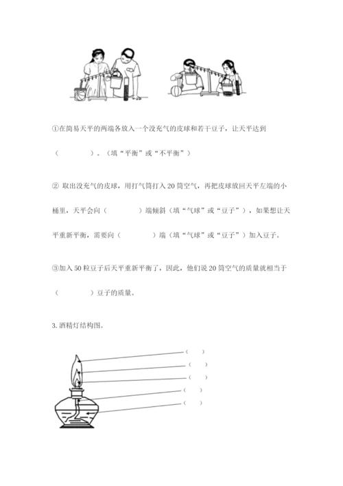 教科版三年级上册科学期末测试卷精品（模拟题）.docx