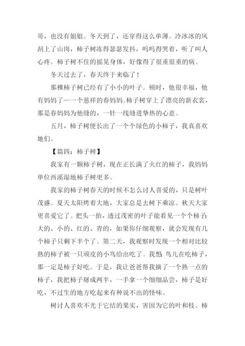 描写柿子树的作文.docx