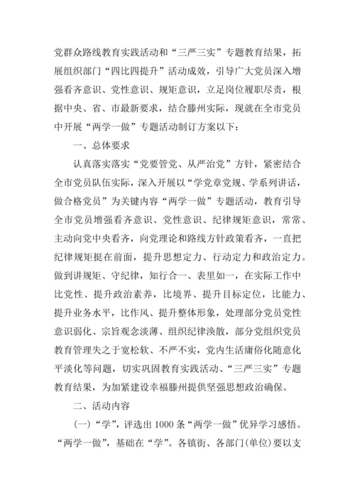 两学一做主题党日活动专业方案.docx