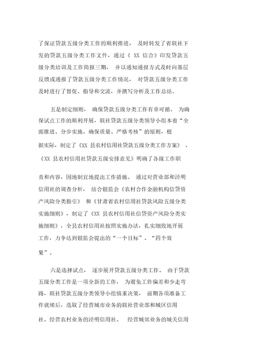 贷款风险五级分类总结报告