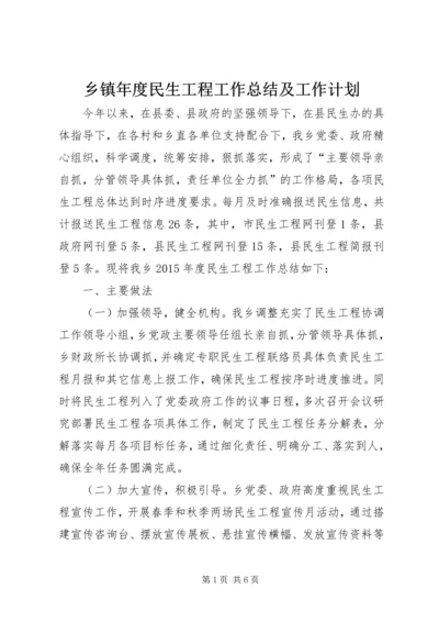 乡镇年度民生工程工作总结及工作计划.docx