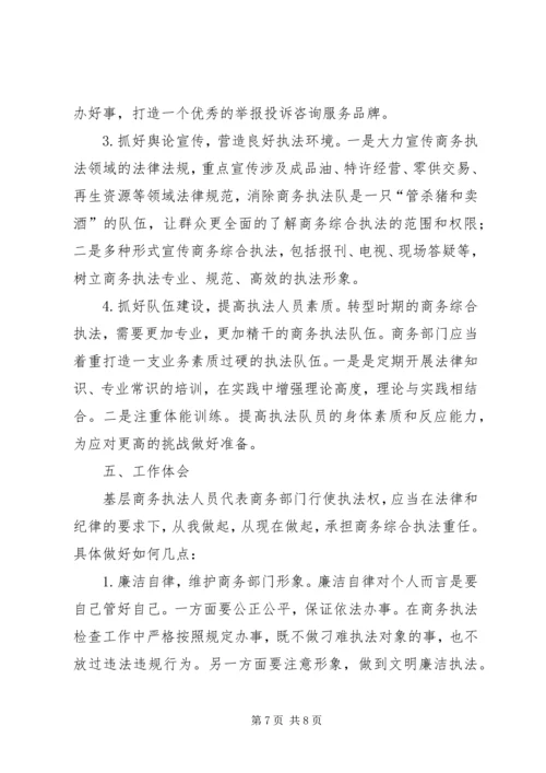 商务执法工作调研报告范文.docx