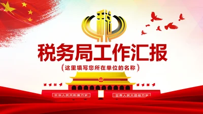 国家税务局国税局工作总结汇报PPT模板