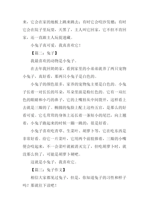 兔子的作文0.docx