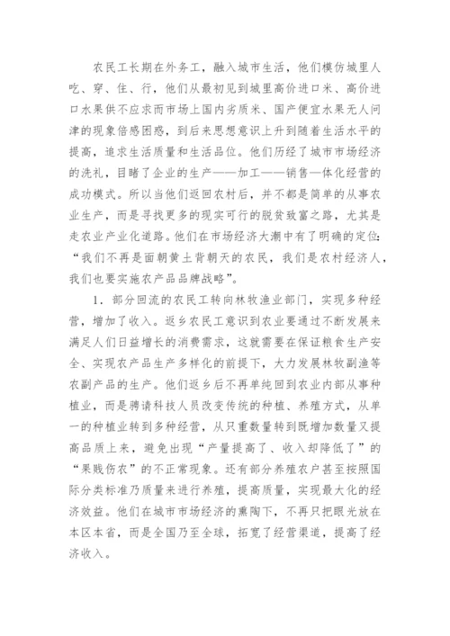 农民工回流对我国农村经济结构及农民收入的影响论文.docx