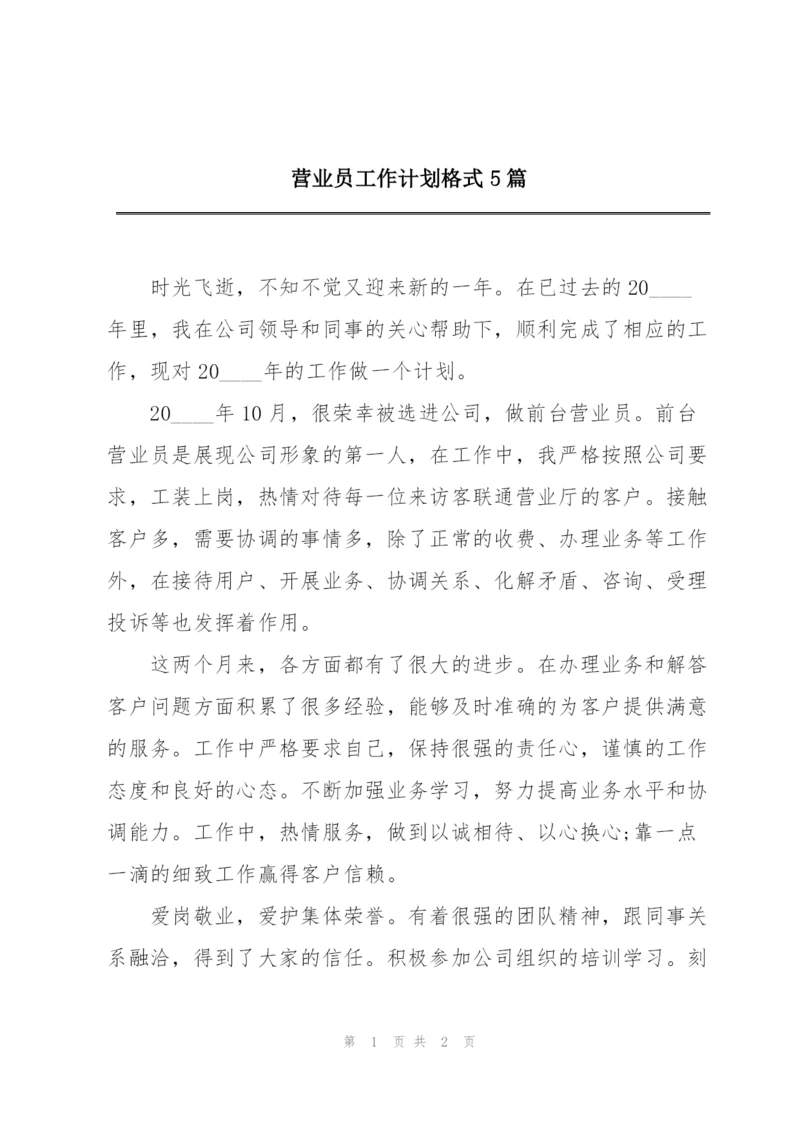 营业员工作计划格式5篇.docx