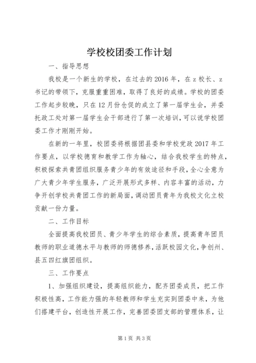 学校校团委工作计划 (2).docx