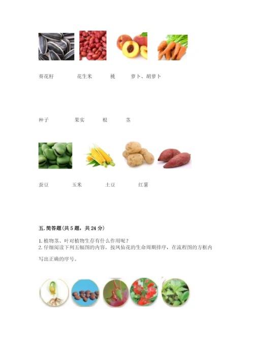 科学四年级下册第一单元《植物的生长变化》测试卷含完整答案【典优】.docx