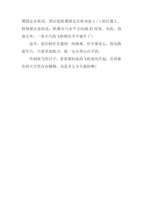 制作飞机模型作文.docx