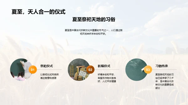 解析夏至的科学与文化