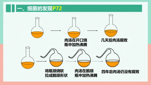 5.4.2  细菌  课件-人教版生物八年级上册(共39张PPT)