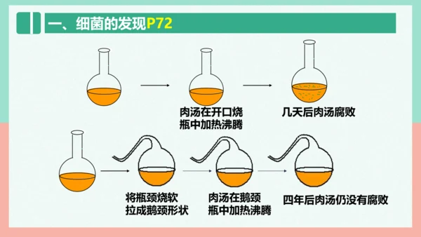 5.4.2  细菌  课件-人教版生物八年级上册(共39张PPT)
