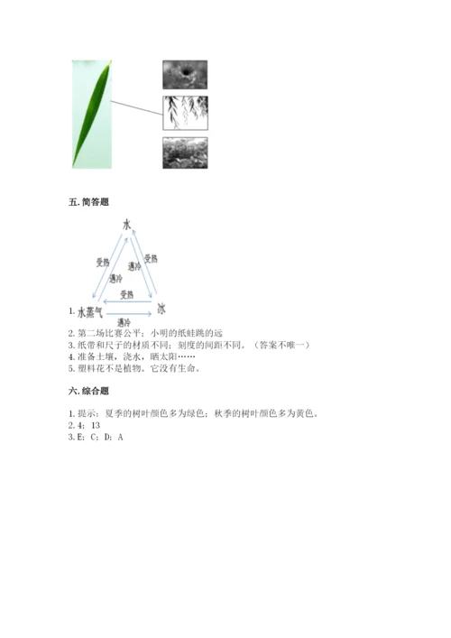 教科版一年级上册科学期末测试卷附解析答案.docx