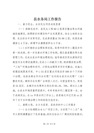 县水务局工作报告.docx