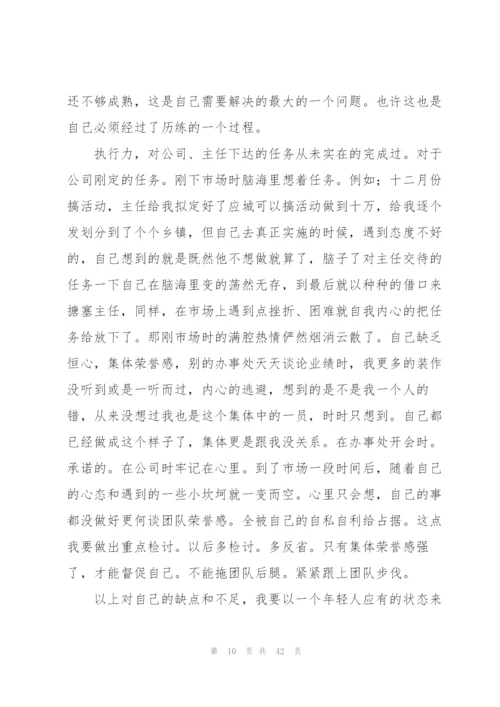 销售个人工作述职报告.docx