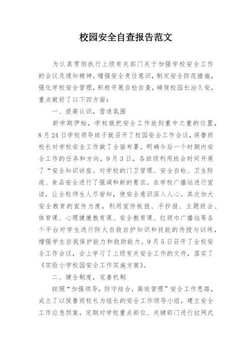 校园安全自查报告范文.docx
