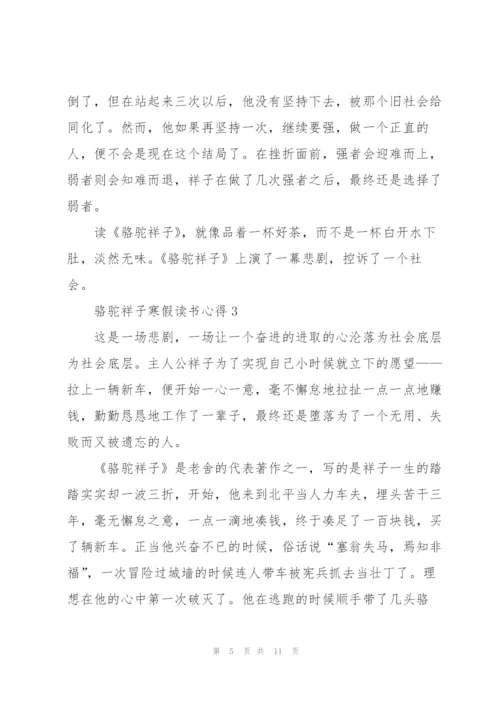 骆驼祥子小说寒假读书心得5篇.docx