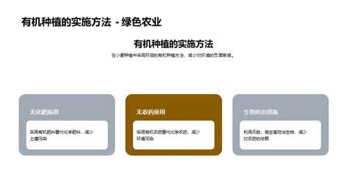 绿色小麦：种植新未来