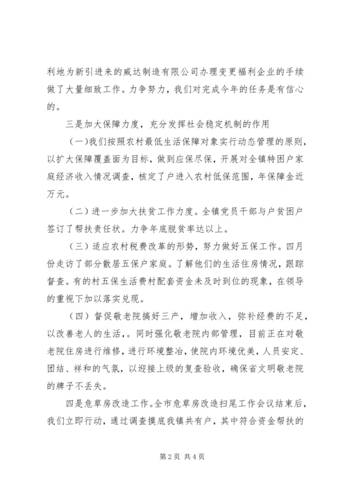 乡镇民政工作要点小结.docx