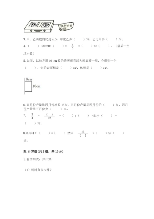北京版六年级下册数学期中测试卷加答案.docx
