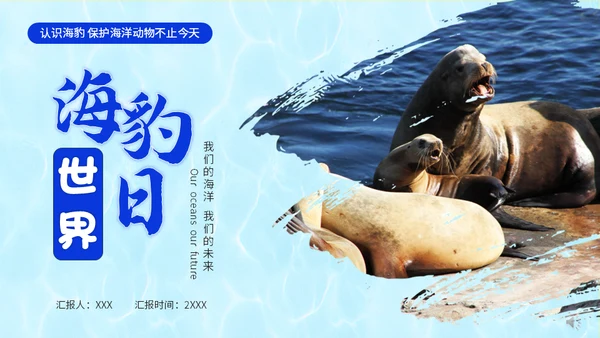 国际海豹日海狮海象通用PPT模板