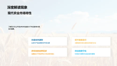 农业市场创新策略