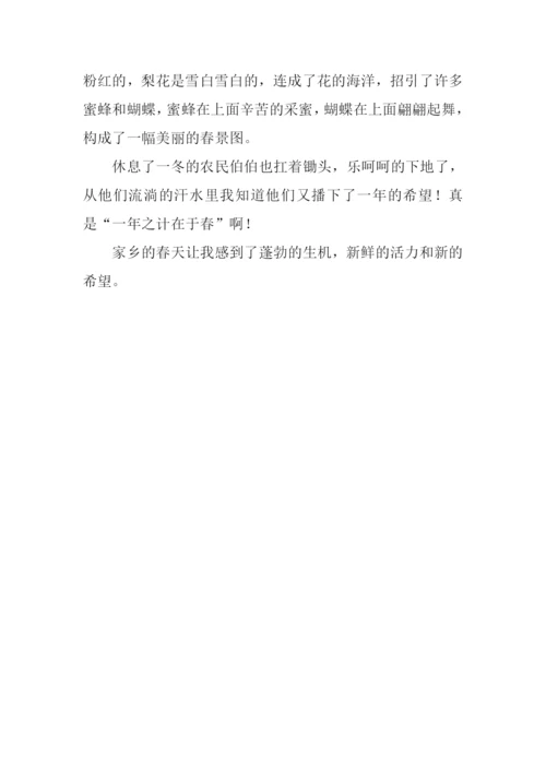 写家乡的春天.docx