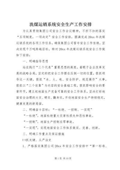 洗煤运销系统安全生产工作安排.docx