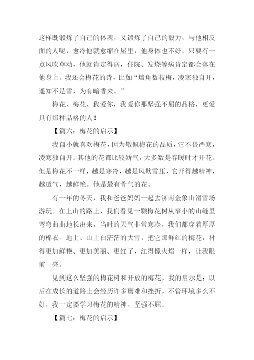 梅花的启示作文300字.docx