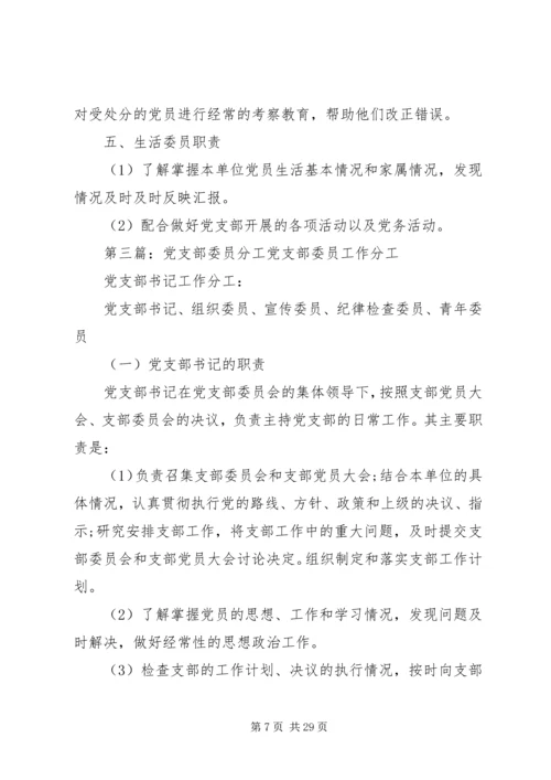 院党支部委员分工方案.docx