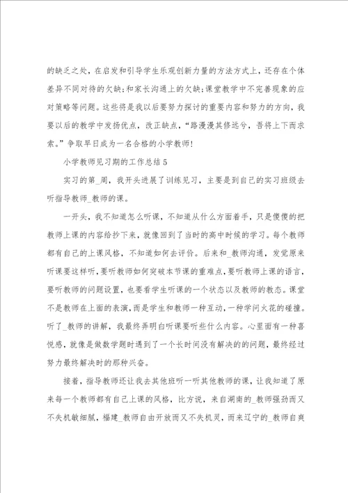 小学教师见习期的工作总结5篇