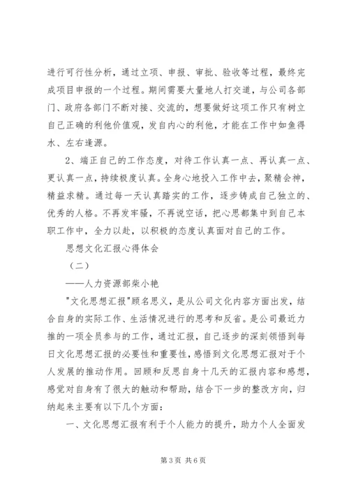 思想文化汇报心得体会.docx