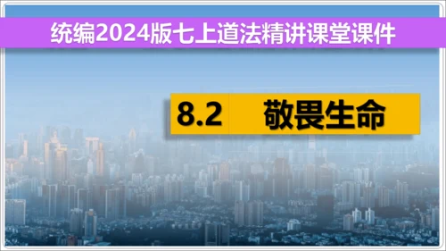 8.2敬畏生命【统编2024版七上道法精讲课堂（课件）】