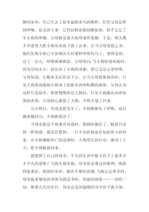 作文以温暖为话题.docx