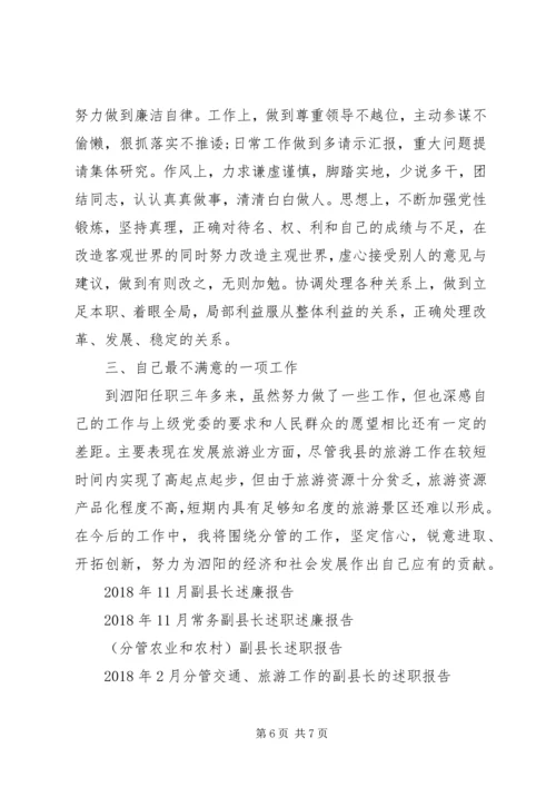 人民政府副县长述职报告范文.docx