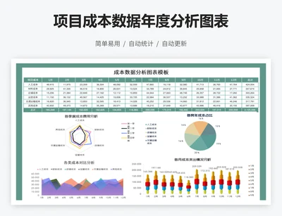 项目成本数据年度分析图表