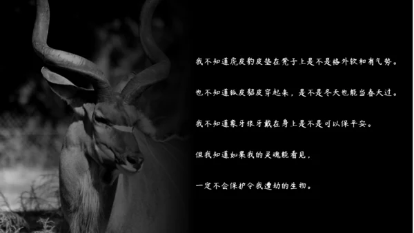 敬畏自然尊重生命保护动物大象通用PPT模板