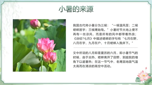 绿色清新中国风二十四节气之小暑带内容PPT模板