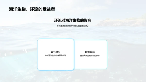 揭秘海洋环流