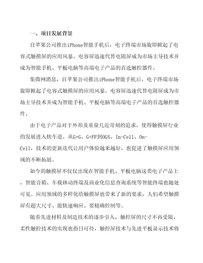 广州触摸屏项目财务分析报告