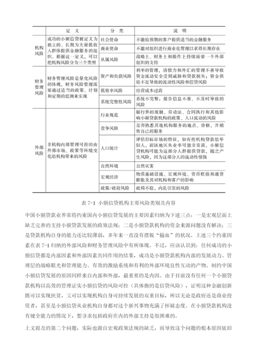 小额贷款机构的信贷风险管理-内部控制和欺诈防范.docx