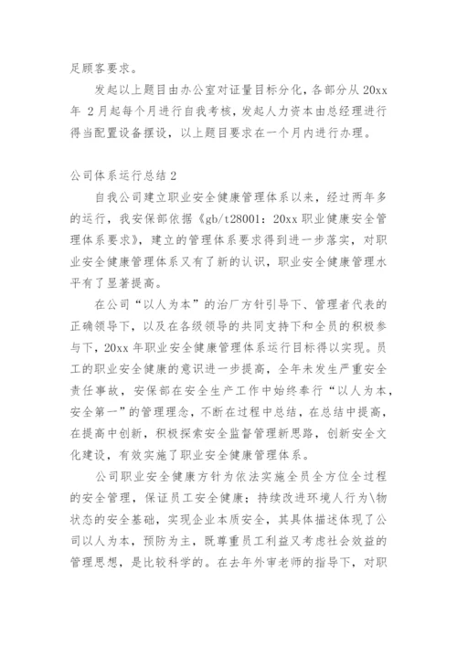 公司体系运行总结.docx