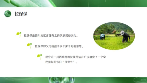雨水绿色露水背景通用PPT模板
