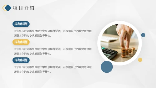 财富金猪商业计划书通用PPT模板