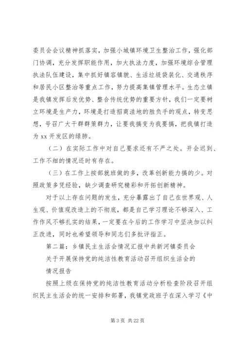 乡镇民主生活会汇报材料.docx