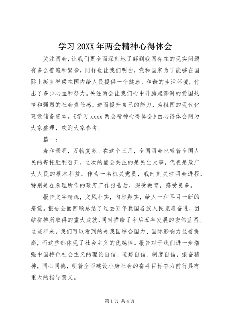 学习20XX年两会精神心得体会 (5).docx