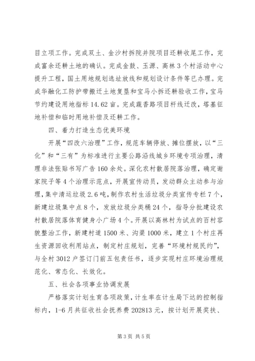 乡镇政府上半年工作总结和下半年工作计划.docx