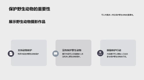 探索非洲野生动物之旅