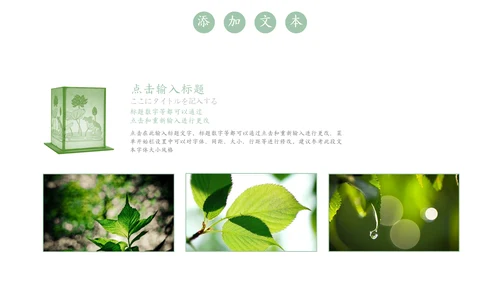 嫩绿树芽工作总结通用PPT模板